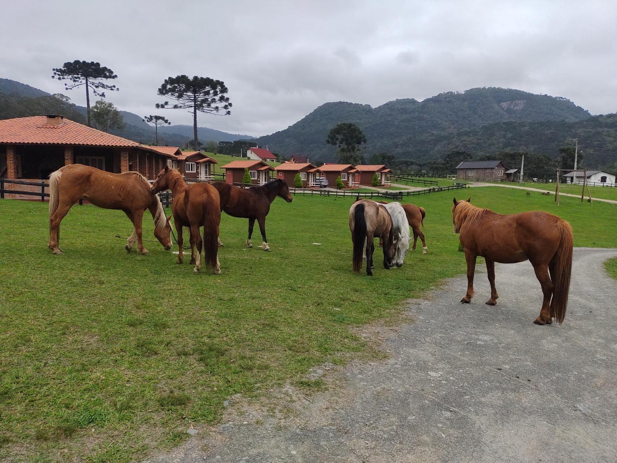 Sitio Rancho Crioulo Hotel Urubici Buitenkant foto
