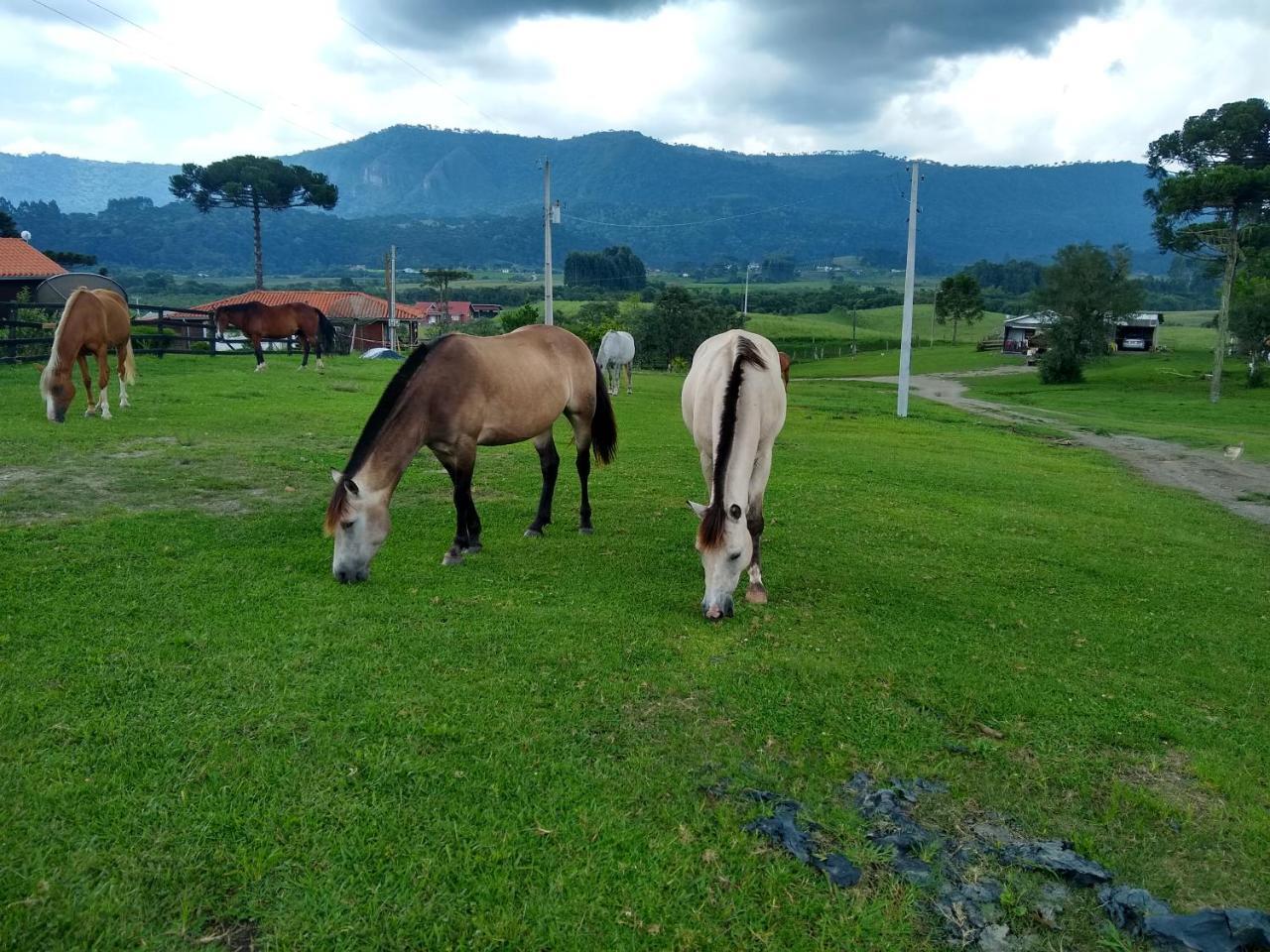 Sitio Rancho Crioulo Hotel Urubici Buitenkant foto