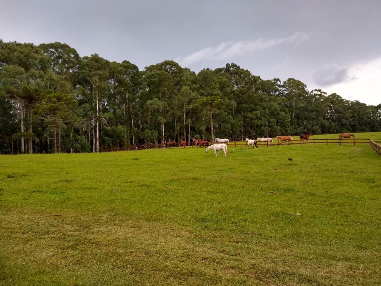 Sitio Rancho Crioulo Hotel Urubici Buitenkant foto